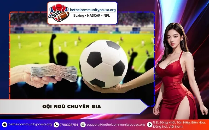 Đội ngũ chuyên gia